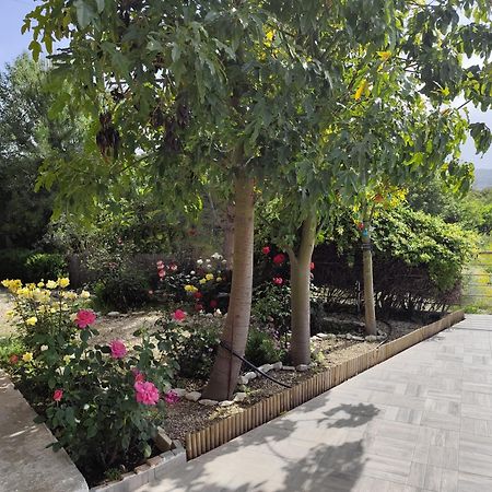 Roses Villa Trimiklini Luaran gambar