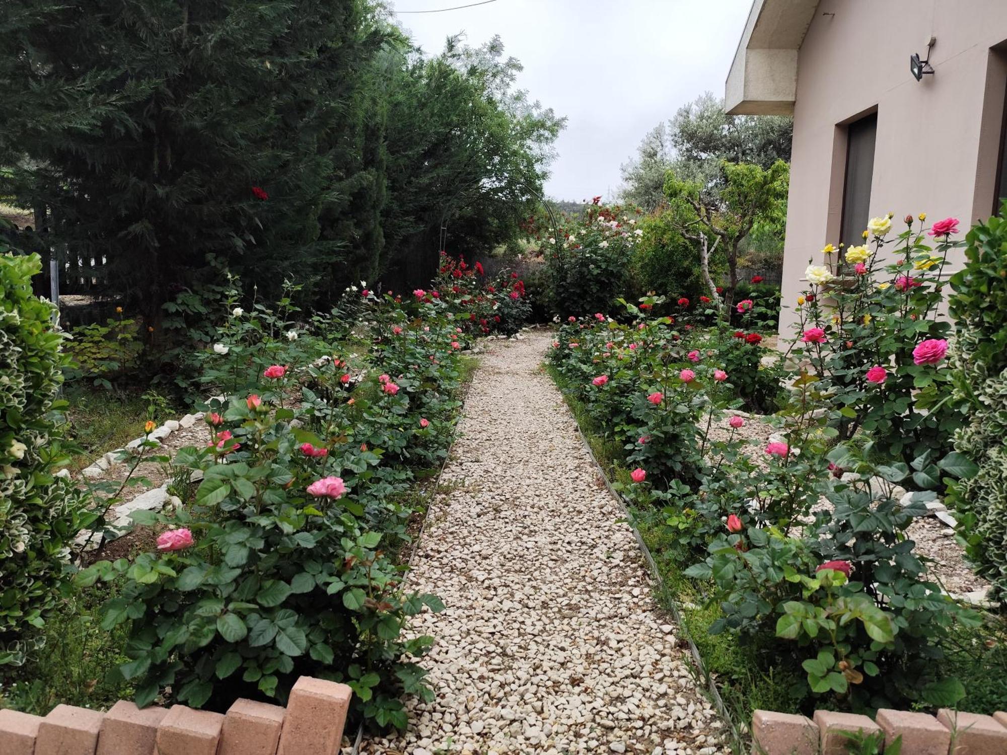 Roses Villa Trimiklini Luaran gambar